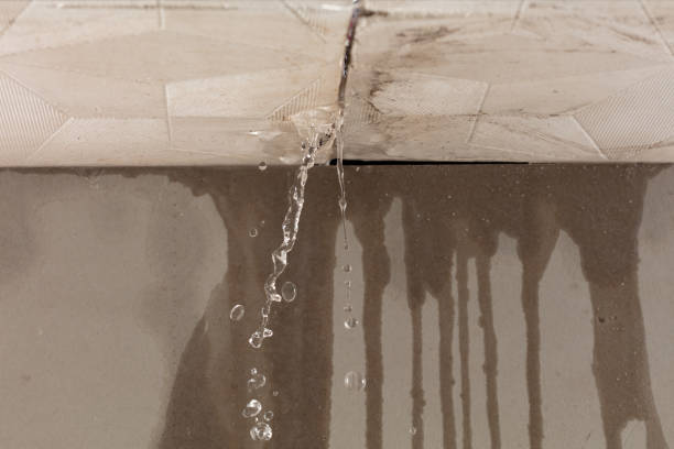 Professional Structural Drying technician working in Sunray, TX